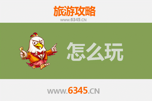 菏泽东明节假日旅游全攻略：黄河水乡的深度体验之旅